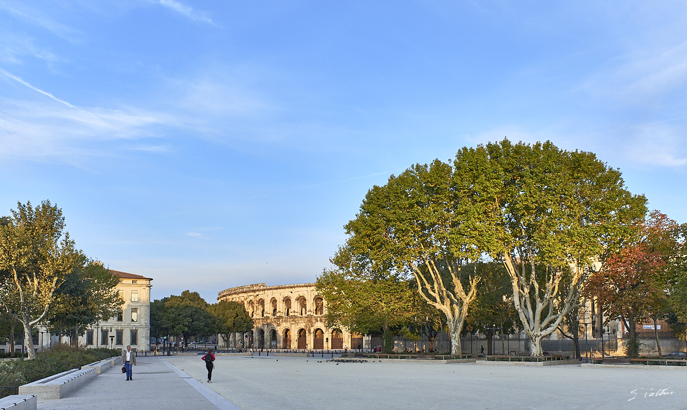 © All Rights Reserved - 2017-09-25 07:10:01 - f/5.6 1/160sec ISO-200 18.5mm - France, Occitanie, Gard, Nîmes