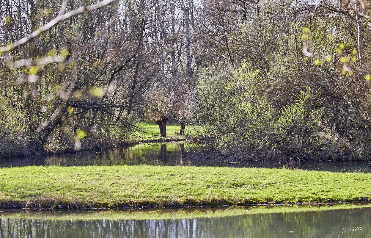 © All Rights Reserved - 2018-04-07 17:17:09 - f/5.6 1/125sec ISO-100 100mm- Allemagne - Kehl - Rive du Rhin