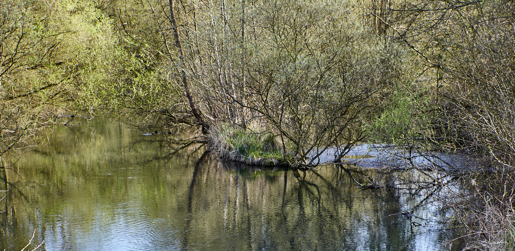 © All Rights Reserved - 2018-04-07 17:49:33 - f/5.6 1/60sec ISO-125 63mm- Allemagne - Kehl - Rive du Rhin