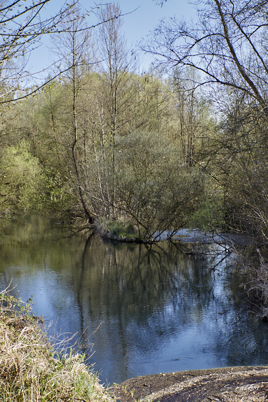 © All Rights Reserved - 2018-04-07 17:49:46 - f/5.6 1/80sec ISO-100 53mm- Allemagne - Kehl - Rive du Rhin