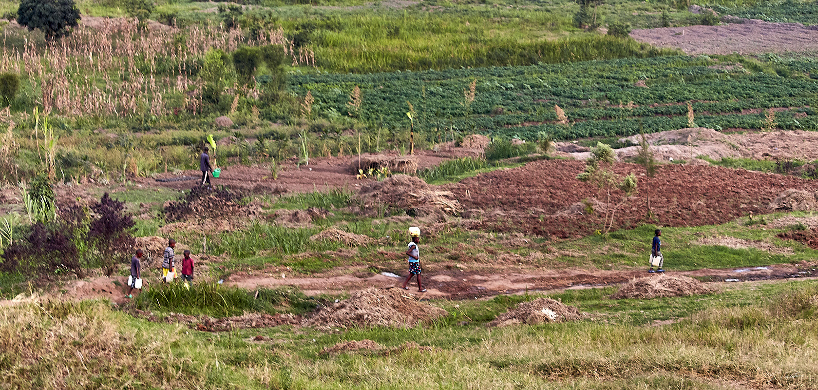 © All Rights Reserved - 2019-08-15 18:12:01 - f/4.5 1/30sec ISO-2000 100mm - Rwanda, Kigali