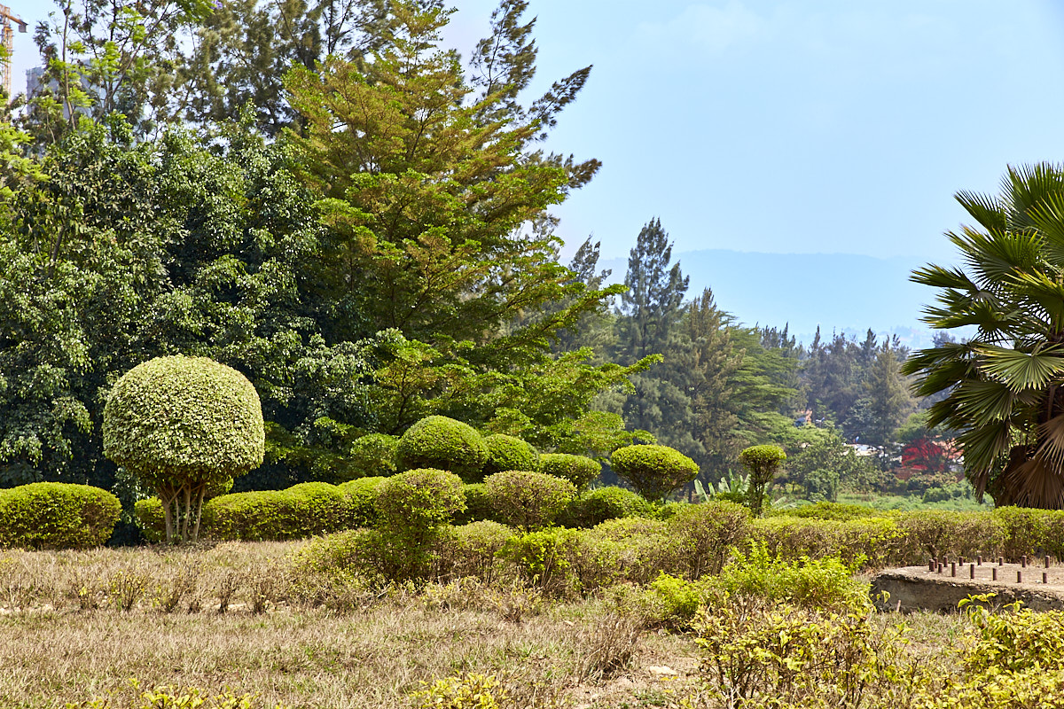 © All Rights Reserved - 2019-08-19 10:49:26 - f/9 1/125sec ISO-160 70mm - Rwanda, Kigali