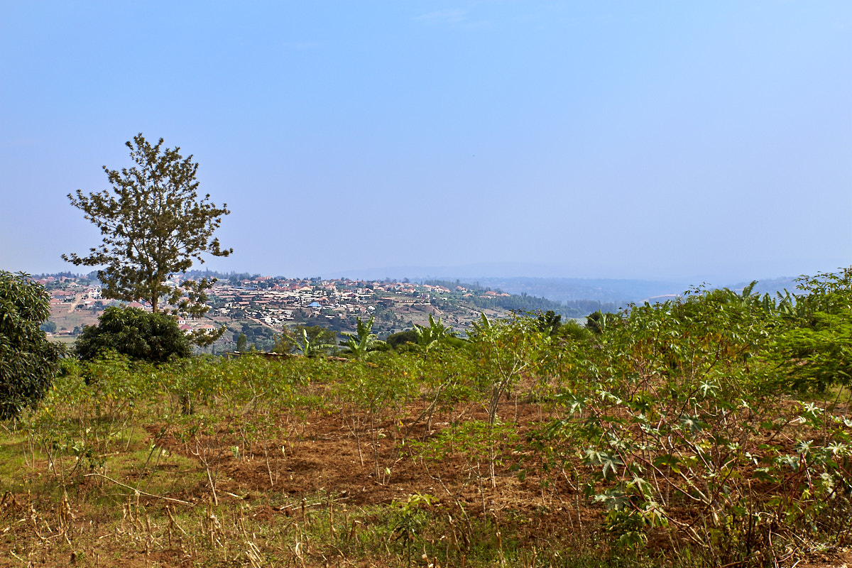 © All Rights Reserved - 2019-08-22 09:06:39 f/8 1/640sec ISO-160 36mm - Rwanda, Masaka