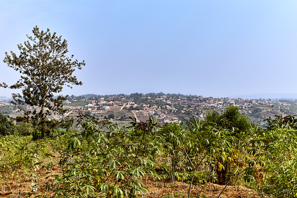 © All Rights Reserved - 2019-08-22 09:08:19 f/8 1/640sec ISO-160 46mm - Rwanda, Masaka