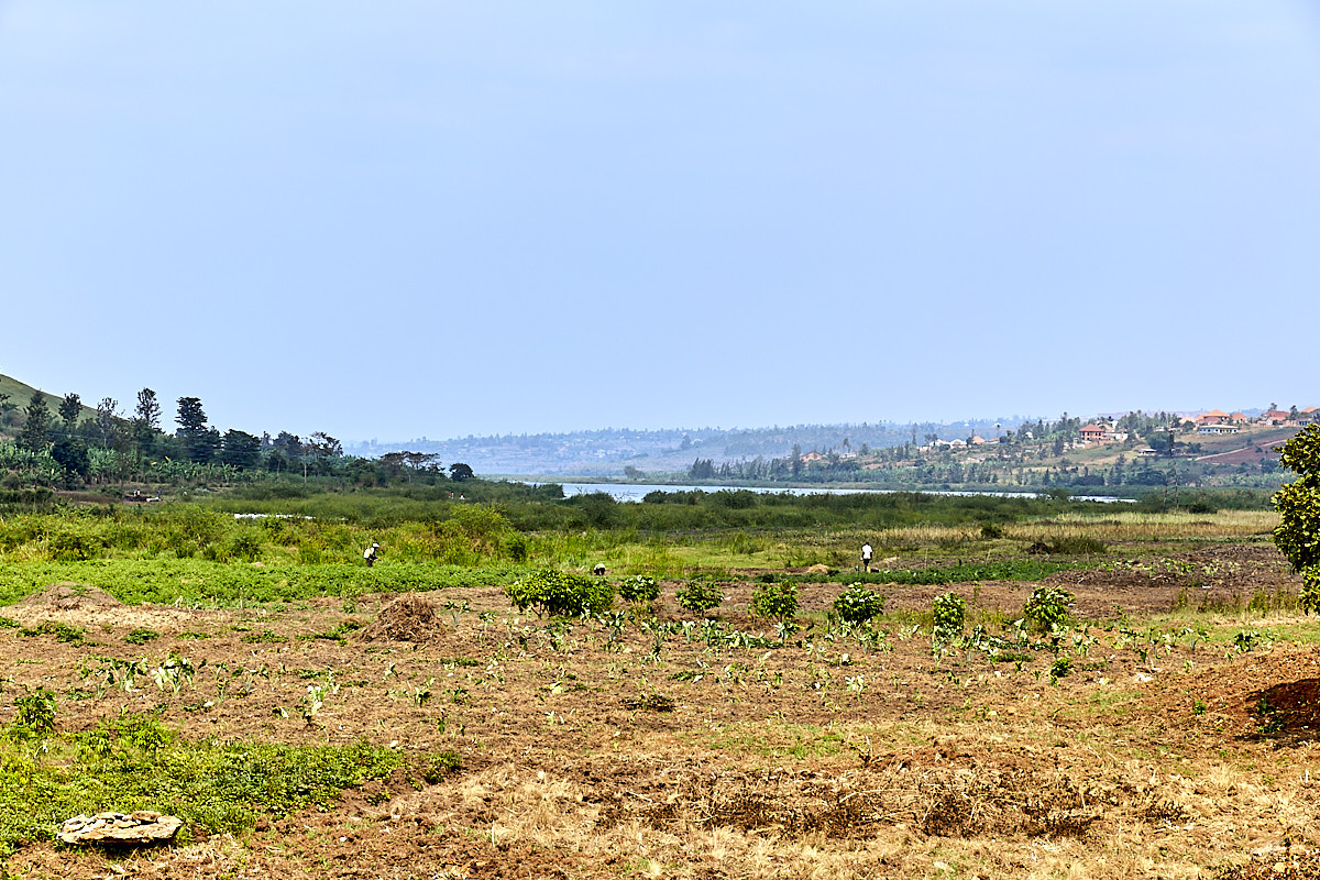 © All Rights Reserved - 2019-08-22 10:10:10 f/8 1/400sec ISO-160 70mm - Rwanda, Kigali, Masaka