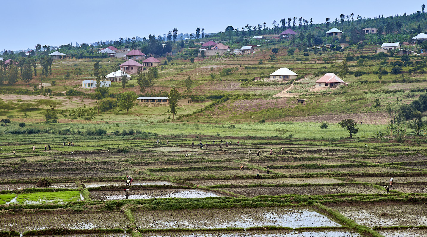 © All Rights Reserved - 2019-08-22 10:57:51 f/9 1/160sec ISO-160 70mm - Rwanda, Kigali rural