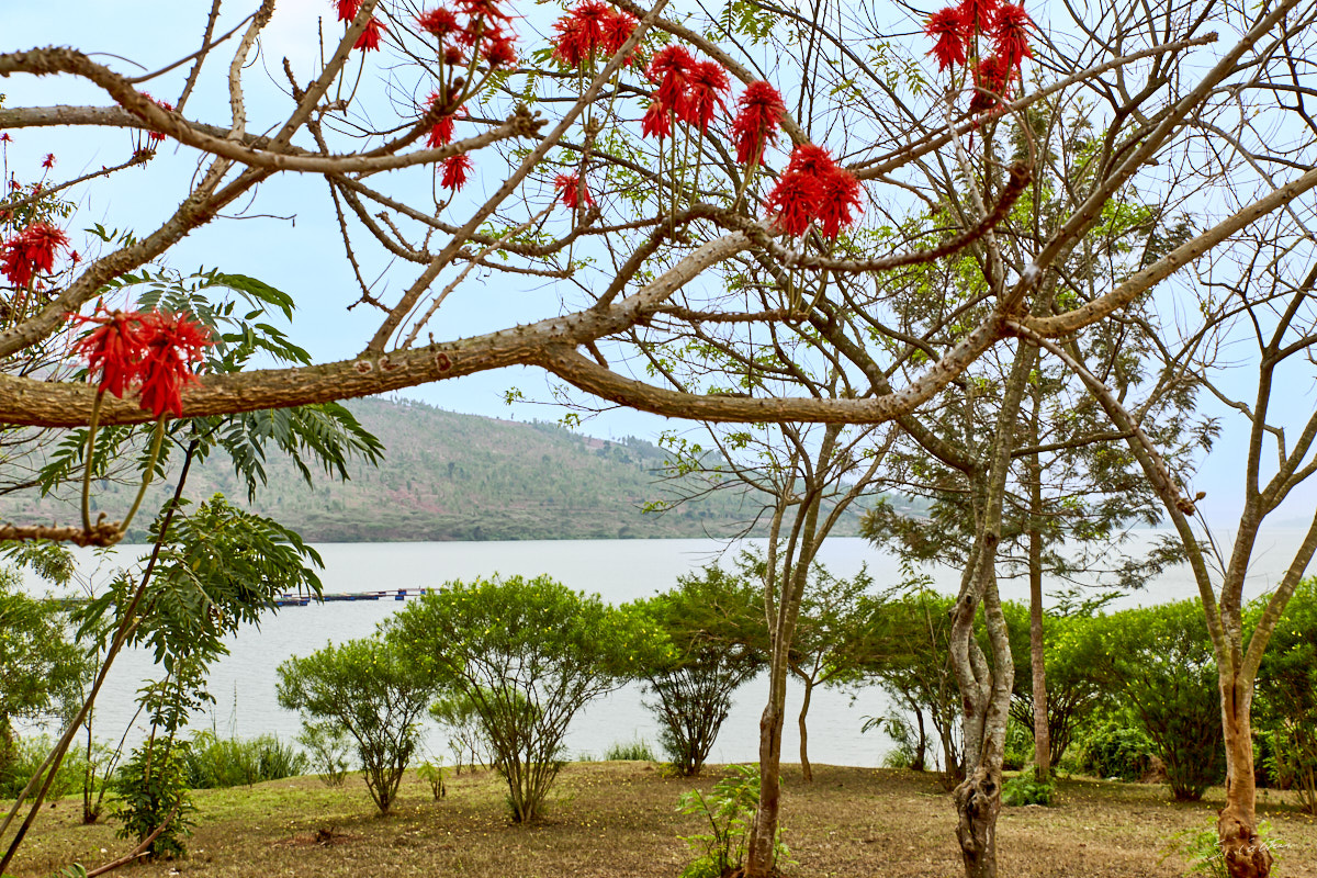 © All Rights Reserved - 2019-08-22 11:50:01 f/14 1/100sec ISO-160 40mm - Rwanda, Lac Muhazi