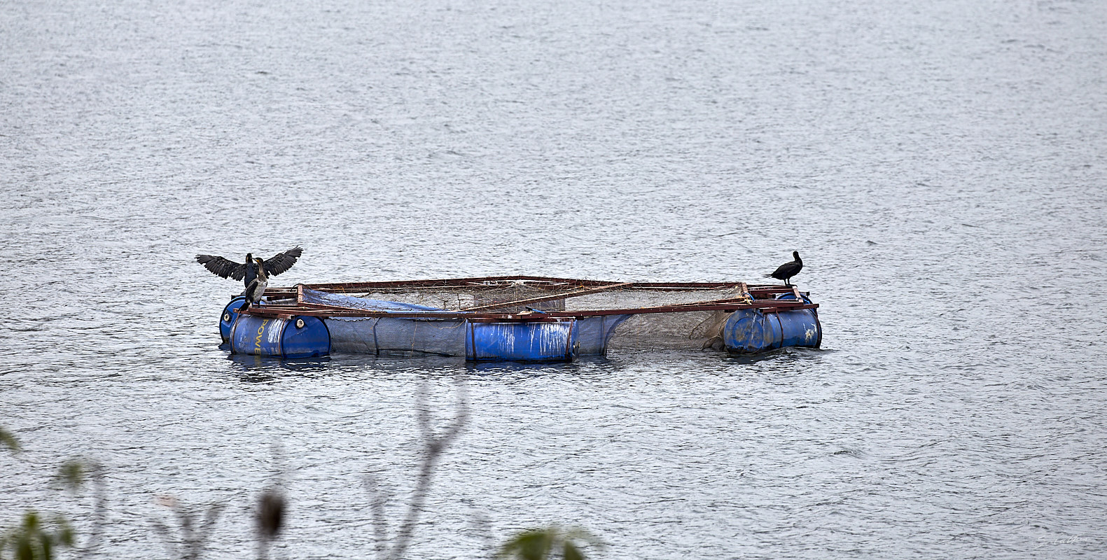 © All Rights Reserved - 2019-08-22 12:21:29 f/8 1/640sec ISO-160 330mm - Rwanda, Lac Muhazi