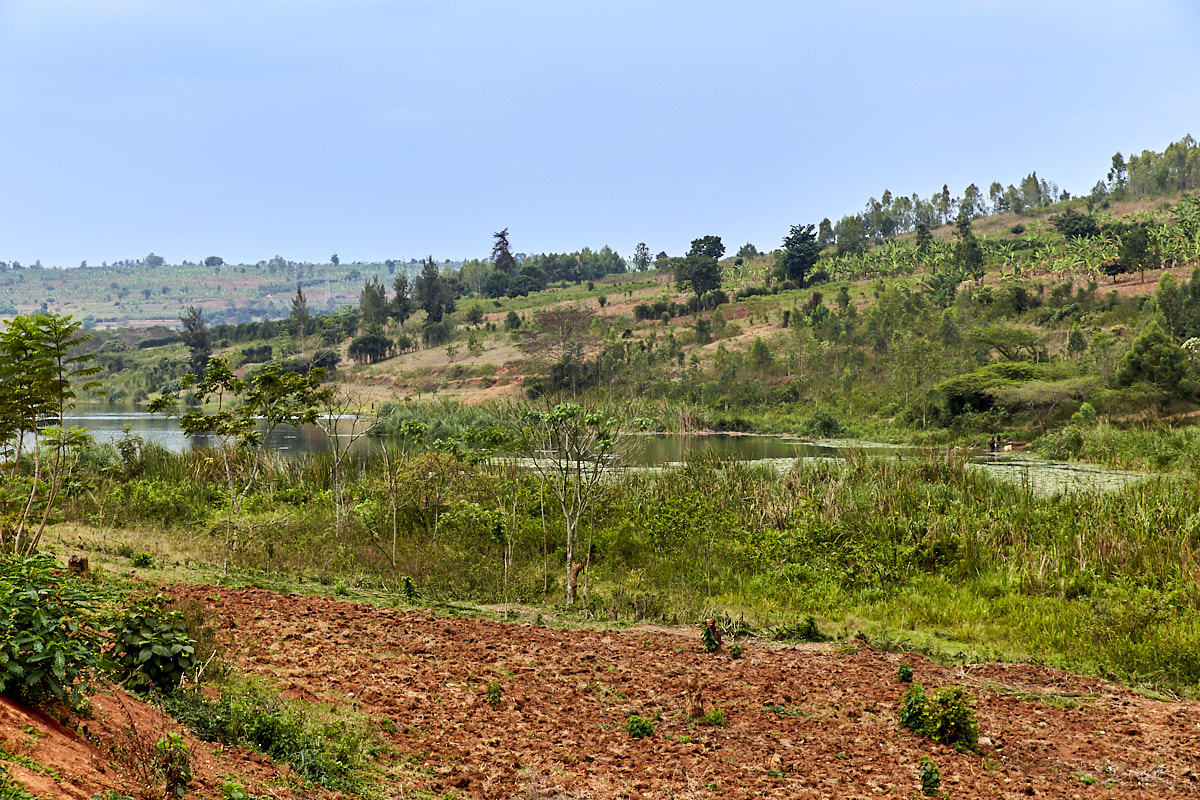 © All Rights Reserved - 2019-08-22 13:47:26 f/8 1/320sec ISO-160 70mm - Rwanda, Lac Muhazi