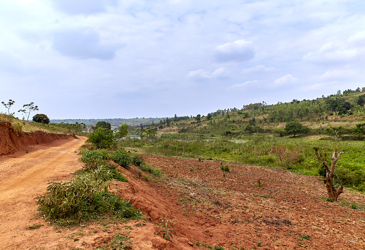 © All Rights Reserved - 2019-08-22 13:47:31 f/8 1/640sec ISO-160 24mm - Rwanda, Lac Muhazi