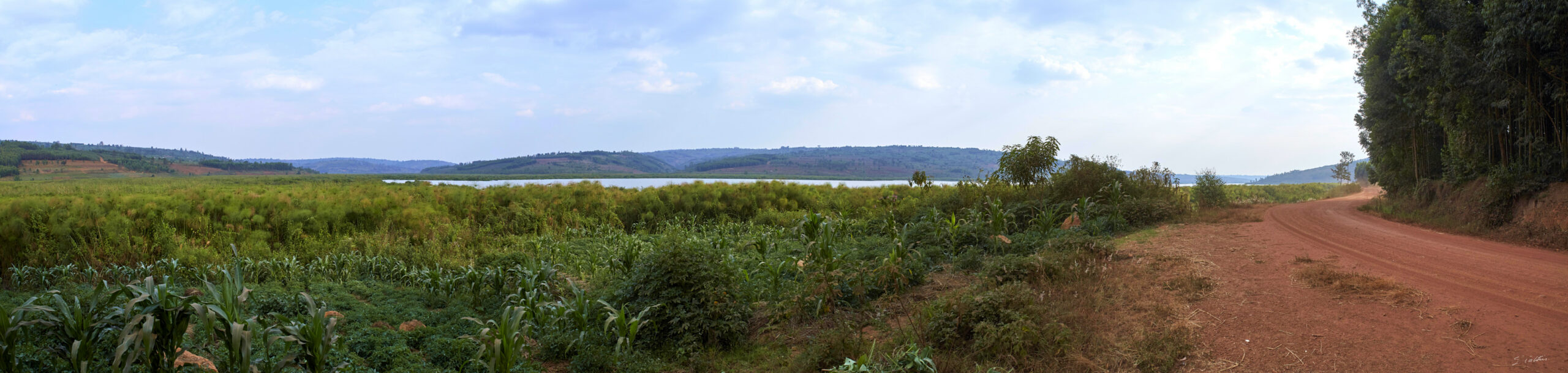 © All Rights Reserved - 2019-08-22 16:16:19 - Rwanda, autour du Lac Mugesera