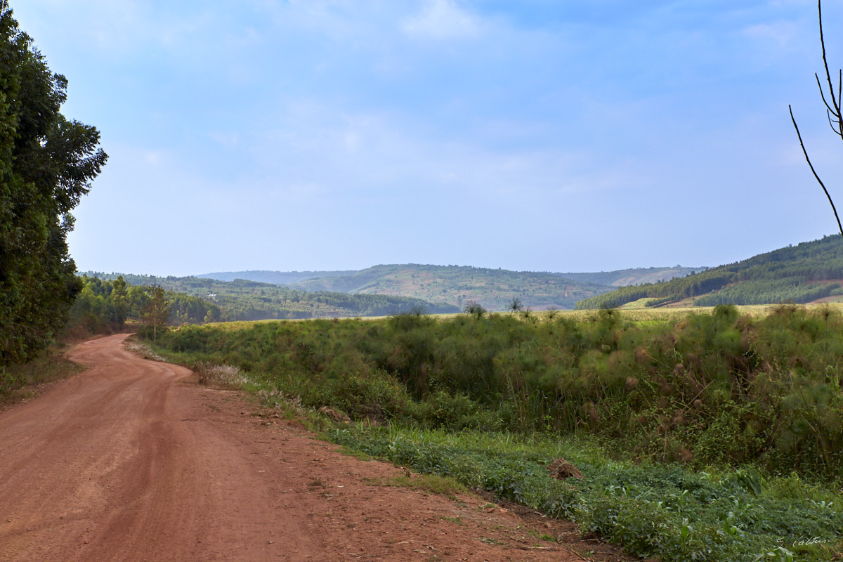 © All Rights Reserved - 2019-08-22 16:17:40 f/8 1/250sec ISO-160 45mm - Rwanda, autour du Lac Mugesera