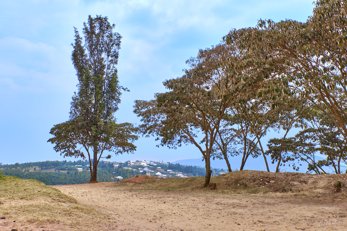 © All Rights Reserved - 2019-08-23 13:58:48 f/16 1/50sec ISO-100 40mm - Rwanda, Muhanga (Gitarama)