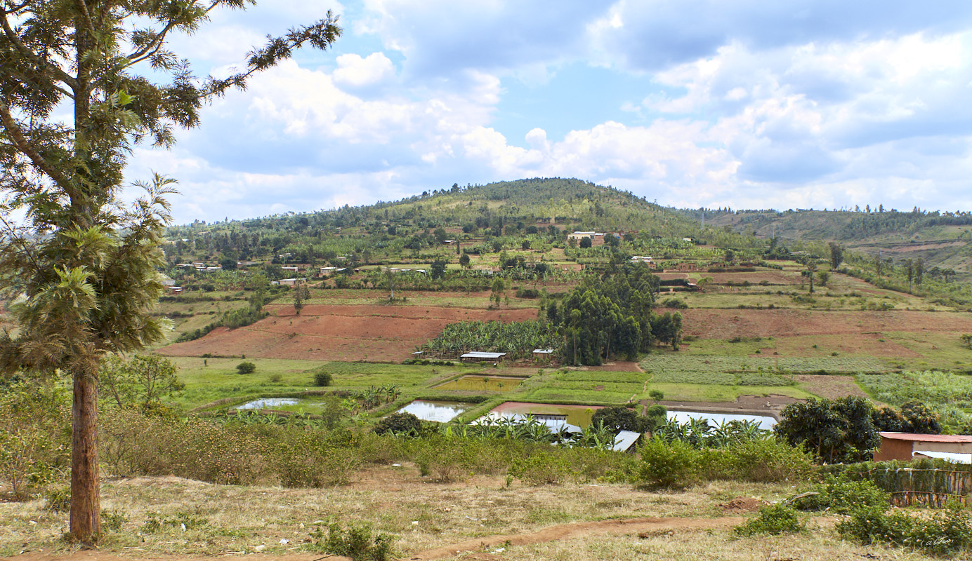 © All Rights Reserved - 2019-08-26 11:24:40 - f/8 1/160sec ISO-160 27mm - Rwanda, Kigali rural