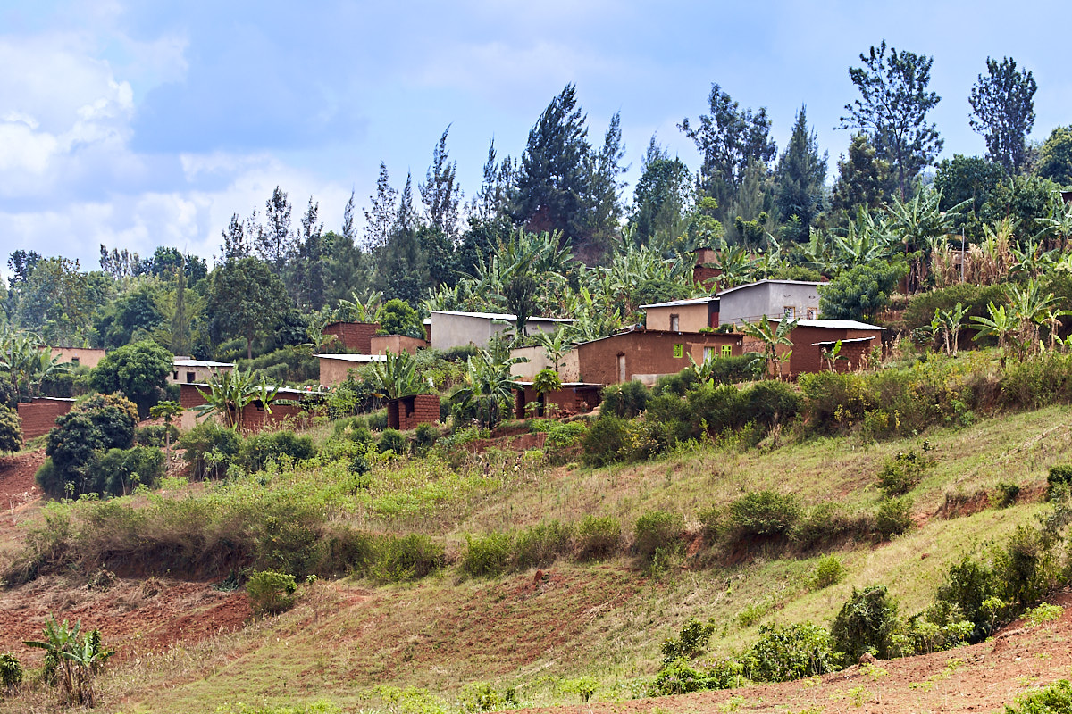 © All Rights Reserved - 2019-08-26 11:47:10 - f/5.6 1/400sec ISO-160 158mm - Rwanda, Kigali rural