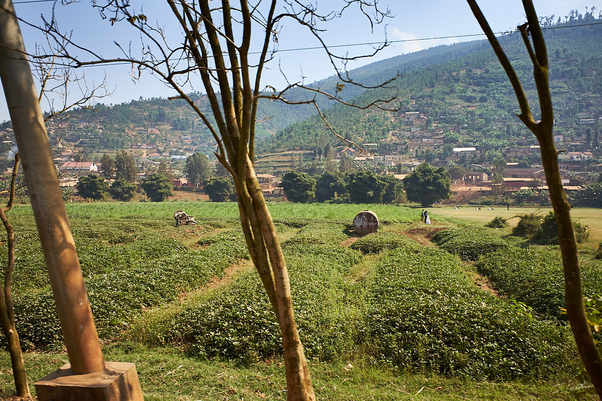 © All Rights Reserved - 2019-08-27 08:28:19 f/4 1/1000sec ISO-200 18.5mm - Rwanda, route Kigali-Huye (Butare)