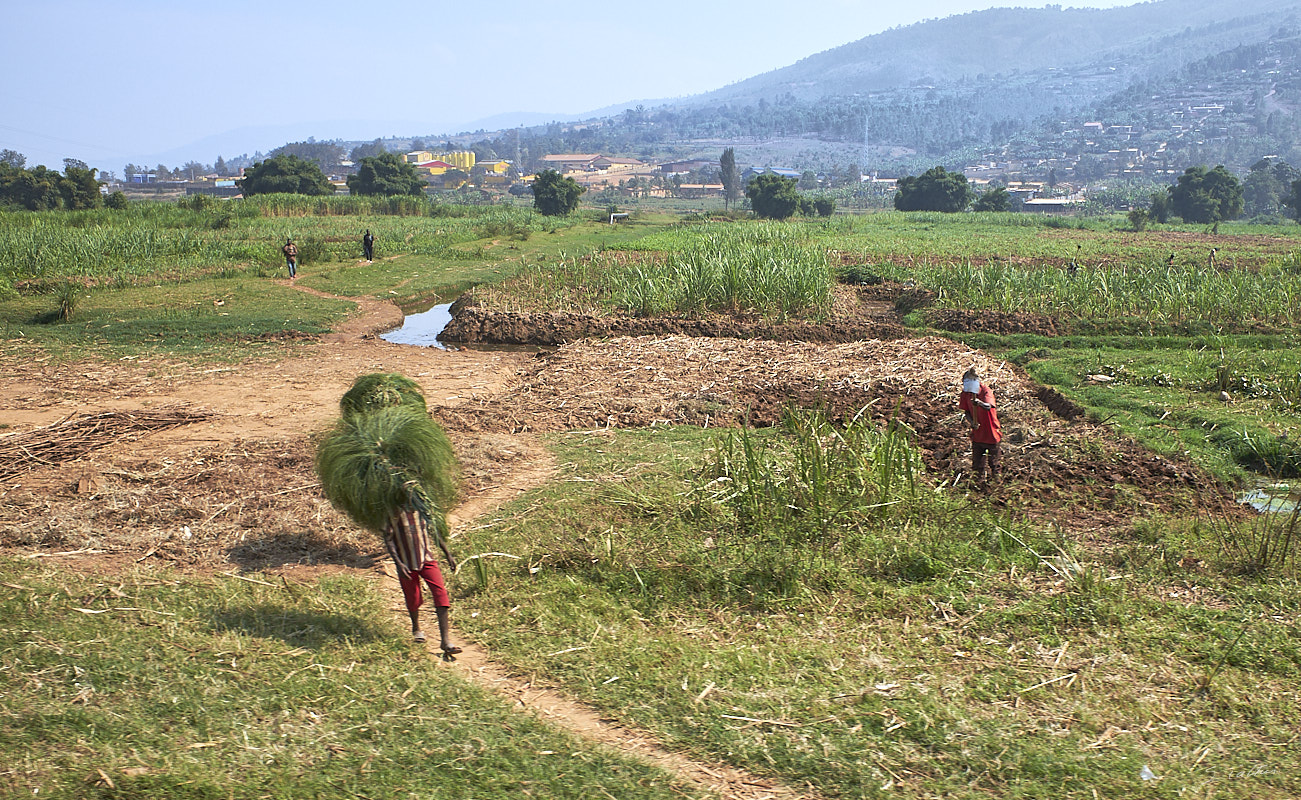 © All Rights Reserved - 2019-08-27 08:29:29 f/4.5 1/1000sec ISO-200 18.5mm - Rwanda, route Kigali-Huye (Butare)