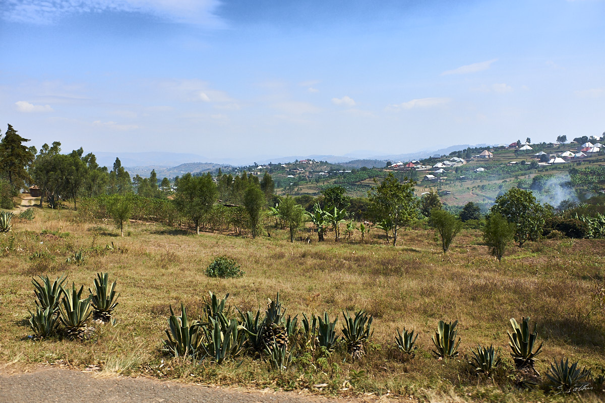 © All Rights Reserved - 2019-08-27 08:59:54 f/4.5 1/1000sec ISO-200 18.5mm - Rwanda, route Kigali-Huye (Butare)