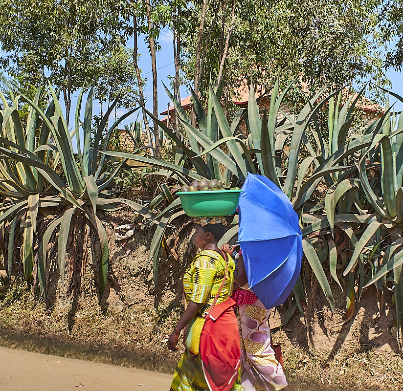 © All Rights Reserved - 2019-08-27 09:15:36 f/3.6 1/1000sec ISO-200 18.5mm - Rwanda, route Kigali-Huye (Butare)