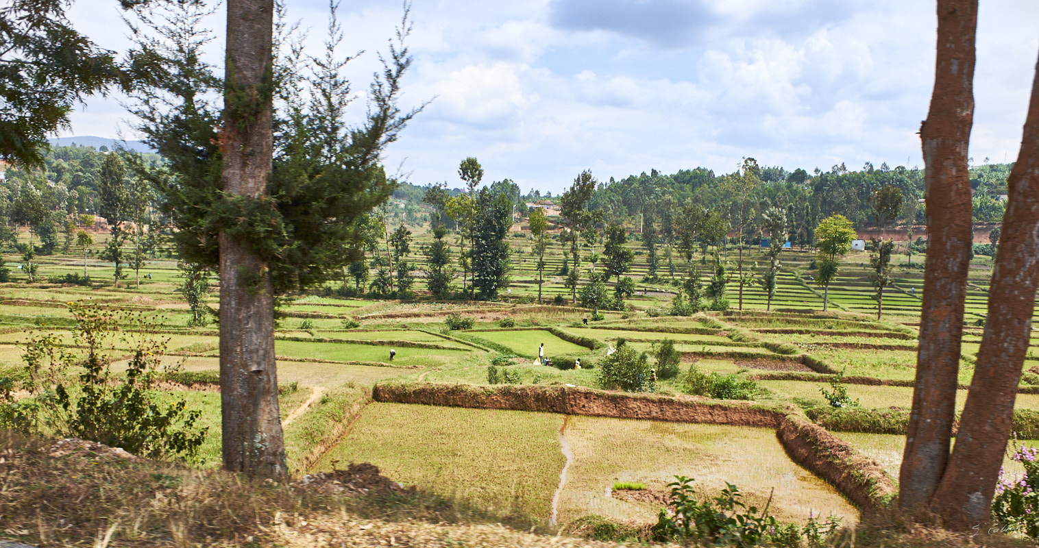 © All Rights Reserved - 2019-08-27 09:47:33 f/4 1/1000sec ISO-200 18.5mm - Rwanda, route Kigali-Huye (Butare)