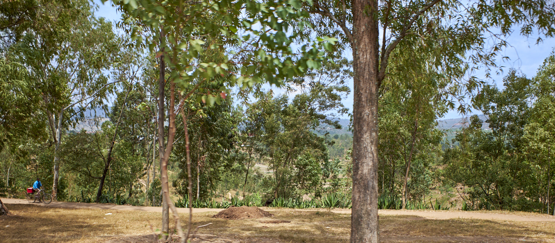 © All Rights Reserved - 2019-08-27 09:50:34 f/4 1/1000sec ISO-200 18.5mm - Rwanda, route Kigali-Huye (Butare)