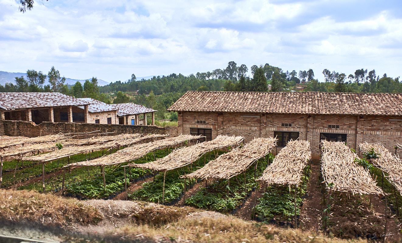 © All Rights Reserved - 2019-08-27 09:52:27 f/3.2 1/1000sec ISO-200 18.5mm - Rwanda, route Kigali-Huye (Butare)