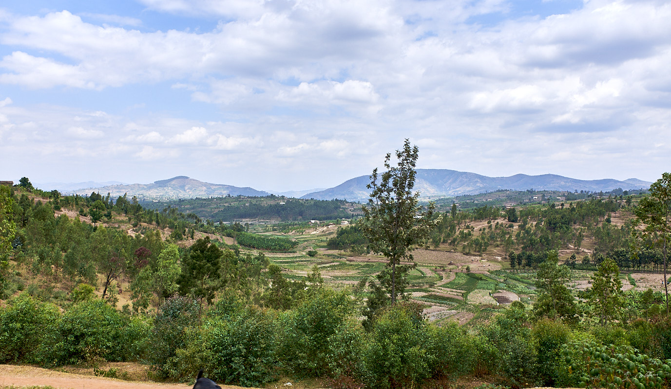 © All Rights Reserved - 2019-08-27 09:57:18 f/4.5 1/1000sec ISO-200 18.5mm - Rwanda, route Kigali-Huye (Butare)