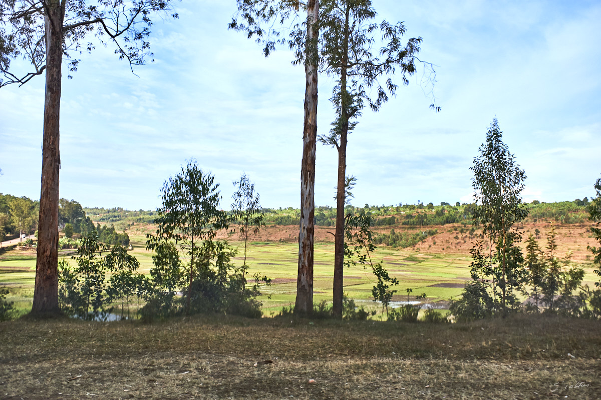 © All Rights Reserved - 2019-08-27 15:38:34 f/3.2 1/1600sec ISO-200 18.5mm - Rwanda, route Kigali-Huye (Butare)