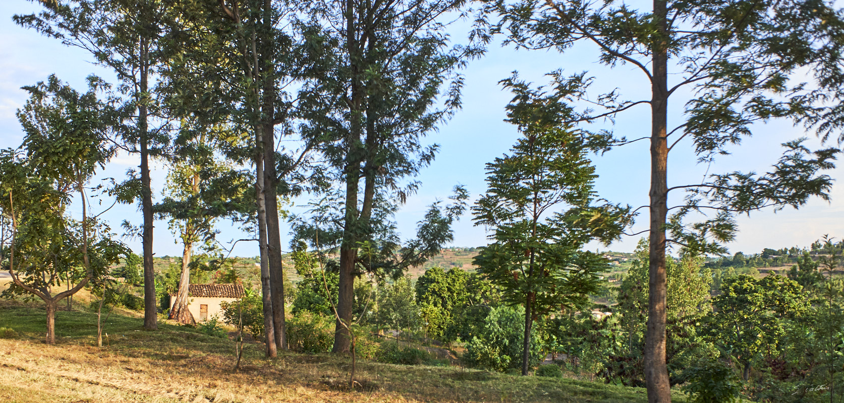 © All Rights Reserved - 2019-08-27 16:23:37 f/4 1/800sec ISO-200 18.5mm - Rwanda, route Kigali-Huye (Butare)