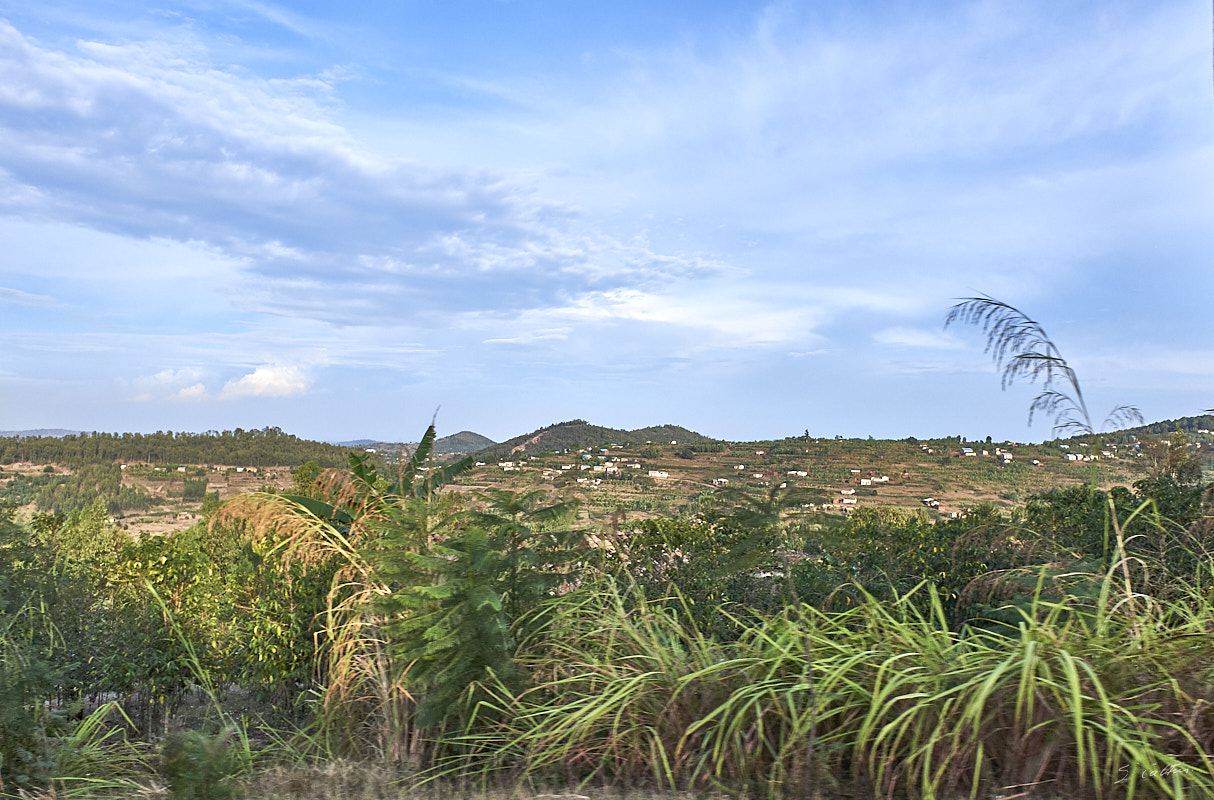 © All Rights Reserved - 2019-08-27 16:24:02 f/6.4 1/800sec ISO-200 18.5mm - Rwanda, route Kigali-Huye (Butare)