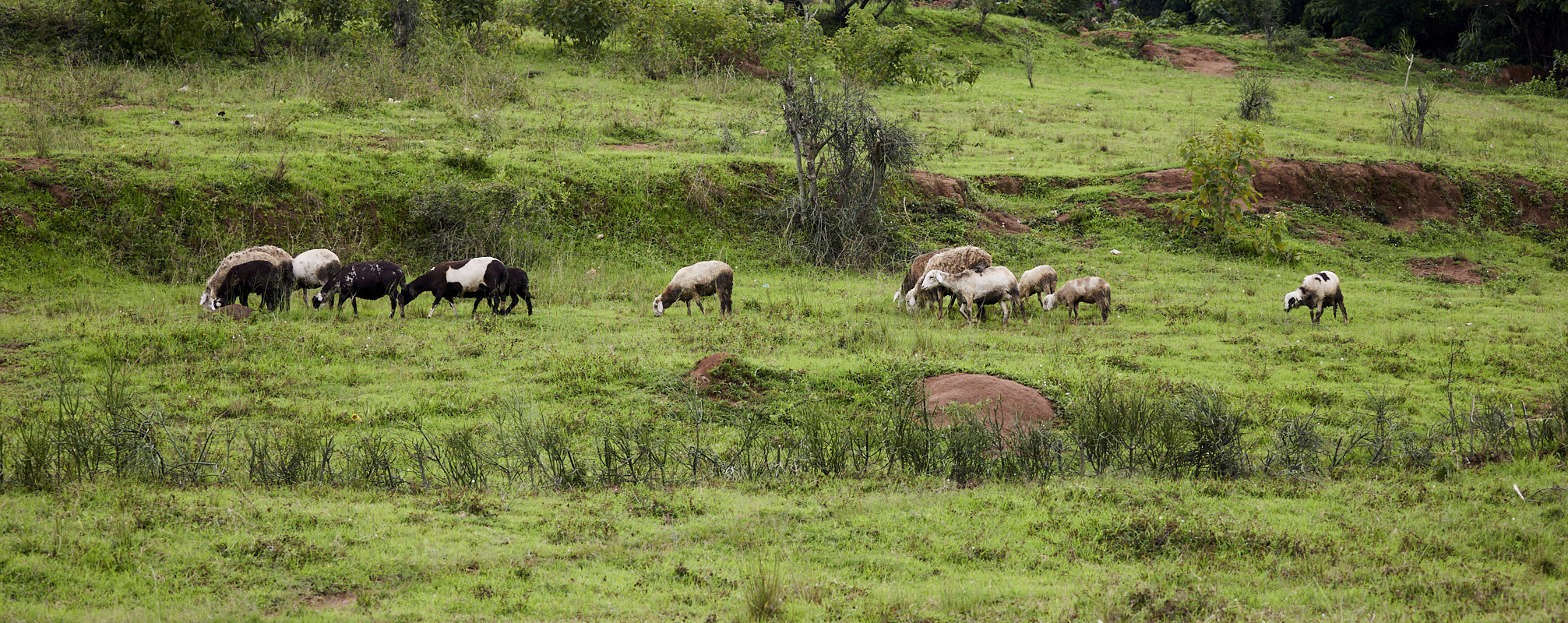 © All Rights Reserved - 2022-11-27 10:17:41 f/5 1/500sec ISO-200 100mm - Rwanda, Kigali rural