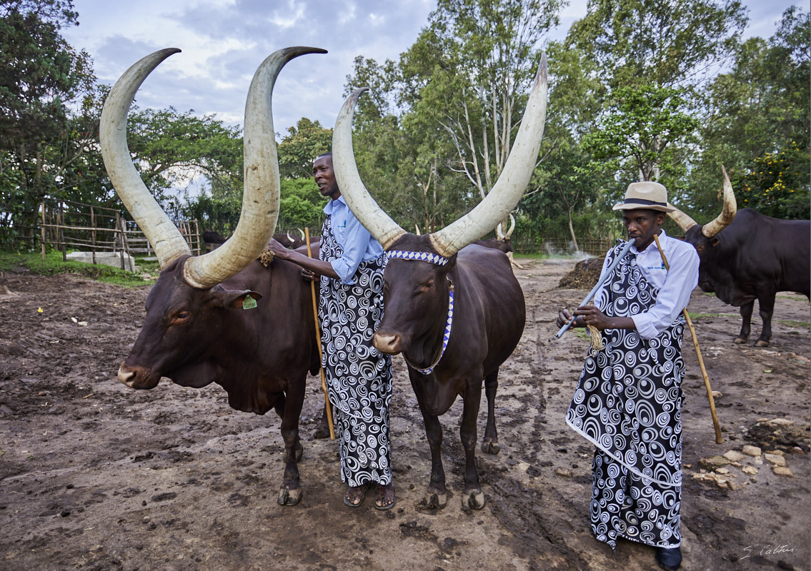 © All Rights Reserved - 2022-12-05 13:13:23 - f/4 1/320sec ISO-100 22mm - Rwanda, Nyanza, ancienne capitale royale