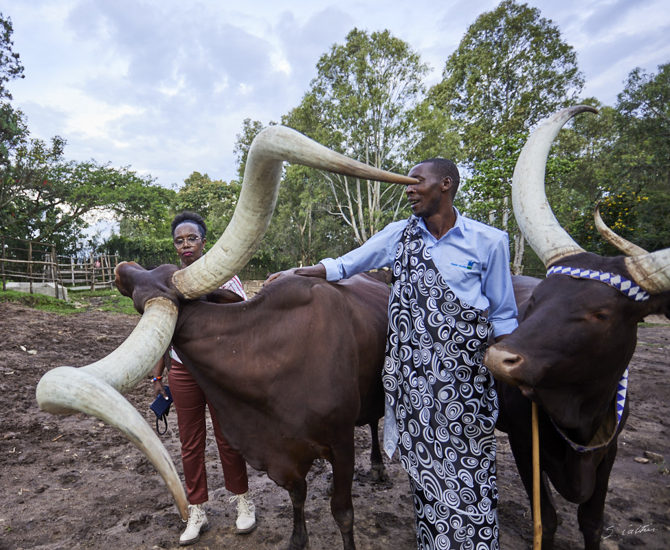 © All Rights Reserved - 2022-12-05 13:13:45 - f/4 1/250sec ISO-100 20mm - Rwanda, Nyanza, ancienne capitale royale