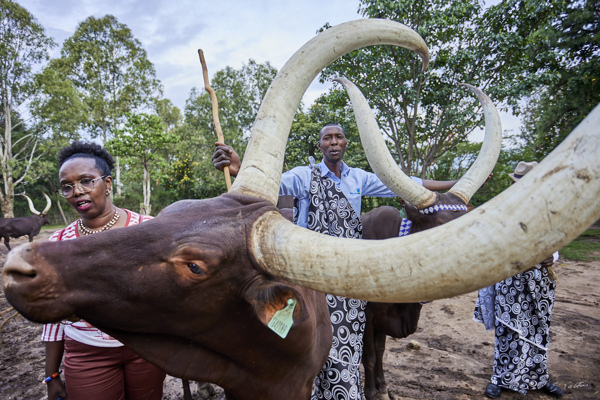 © All Rights Reserved - 2022-12-05 13:14:03 - f/4 1/320sec ISO-160 21mm - Rwanda, Nyanza, ancienne capitale royale