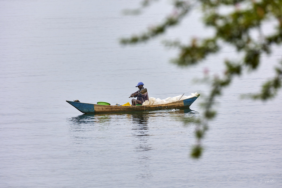 © All Rights Reserved - 2022-12-08 05:43:56 - f/6.3 1/250sec ISO-100 400mm - Rwanda, lac Kivu, Kigufi