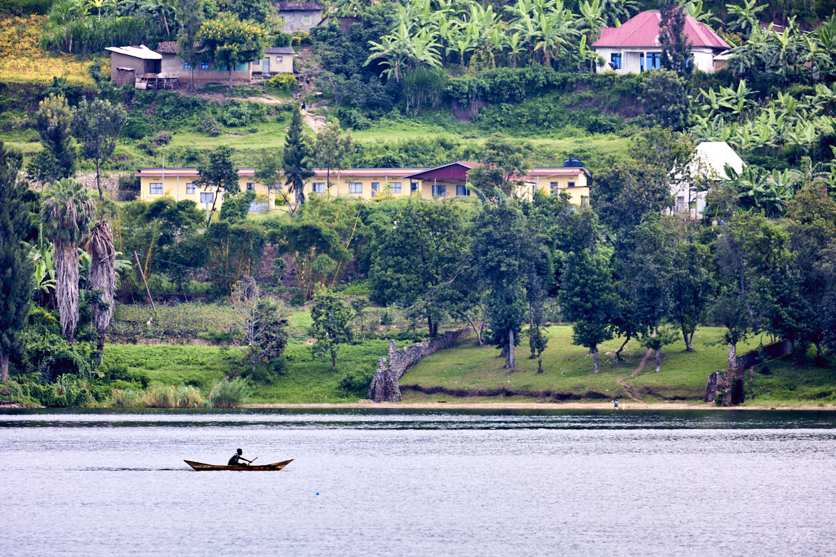 © All Rights Reserved - 2022-12-08 05:52:42 - f/6.3 1/80sec ISO-100 400mm - Rwanda, lac Kivu, Kigufi