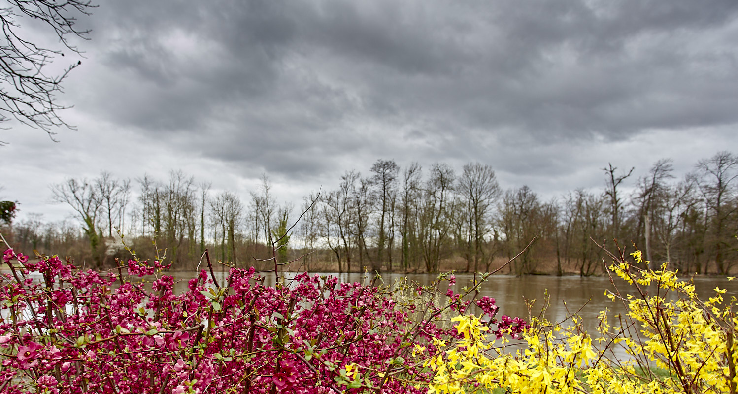 © All Rights Reserved - 2019-03-17 16:38:54 f/5 1/50sec ISO-160 17mm - France, Alsace, La Wantzenau