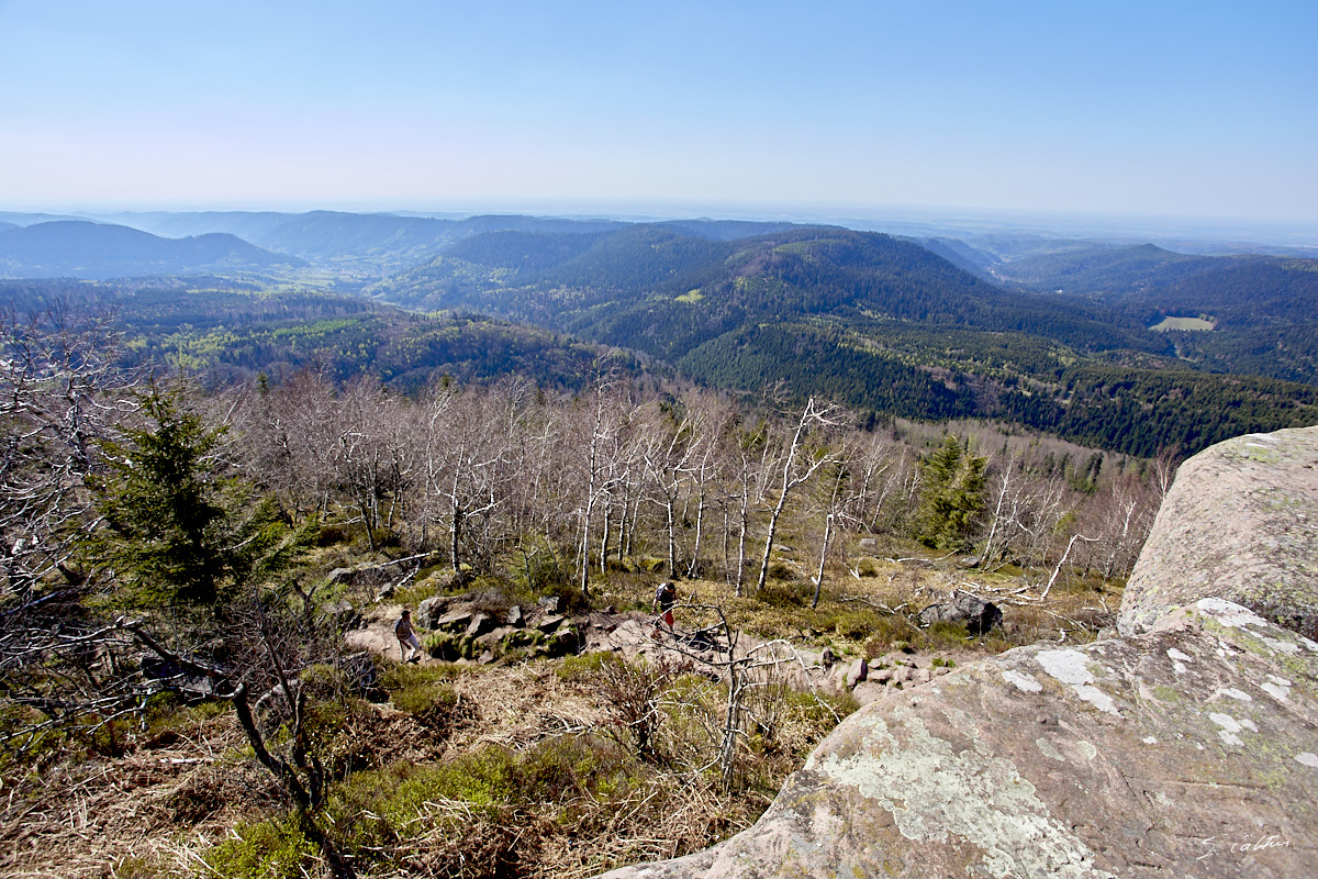 © All Rights Reserved - 2019-04-20 15:21:51 f/8 1/200sec ISO-160 17mm - France, Alsace, sommet du Donon