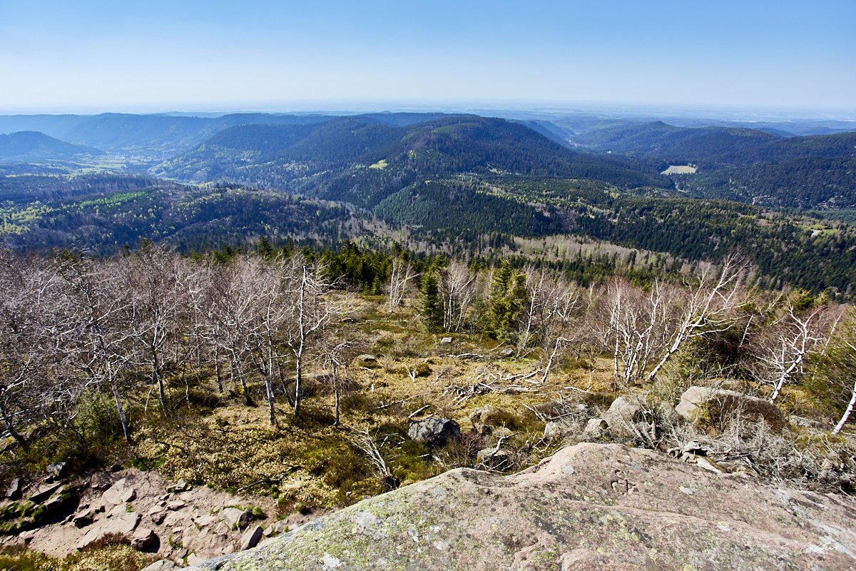 © All Rights Reserved - 2019-04-20 15:22:40 f/8 1/250sec ISO-160 17mm - France, Alsace, sommet du Donon