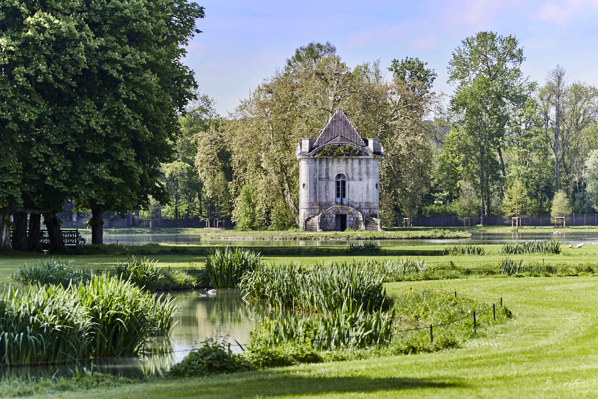 © All Rights Reserved - 2019-05-18 09:54:25 f/8 1/400sec ISO-320 158mm - France, Bourgogne, Ancy-le-Franc