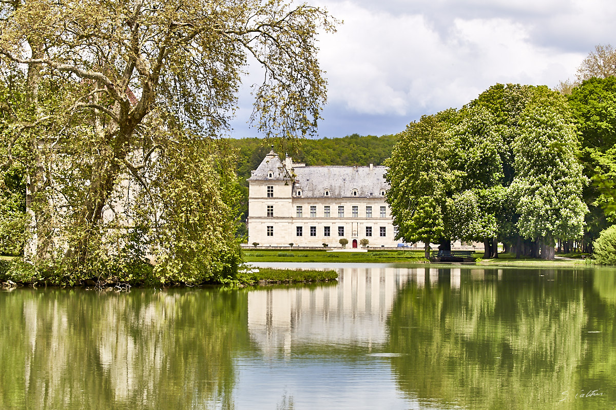 © All Rights Reserved - 2019-05-18 12:47:39 f/13 1/200sec ISO-100 100mm - France, Bourgogne, Ancy-le-Franc