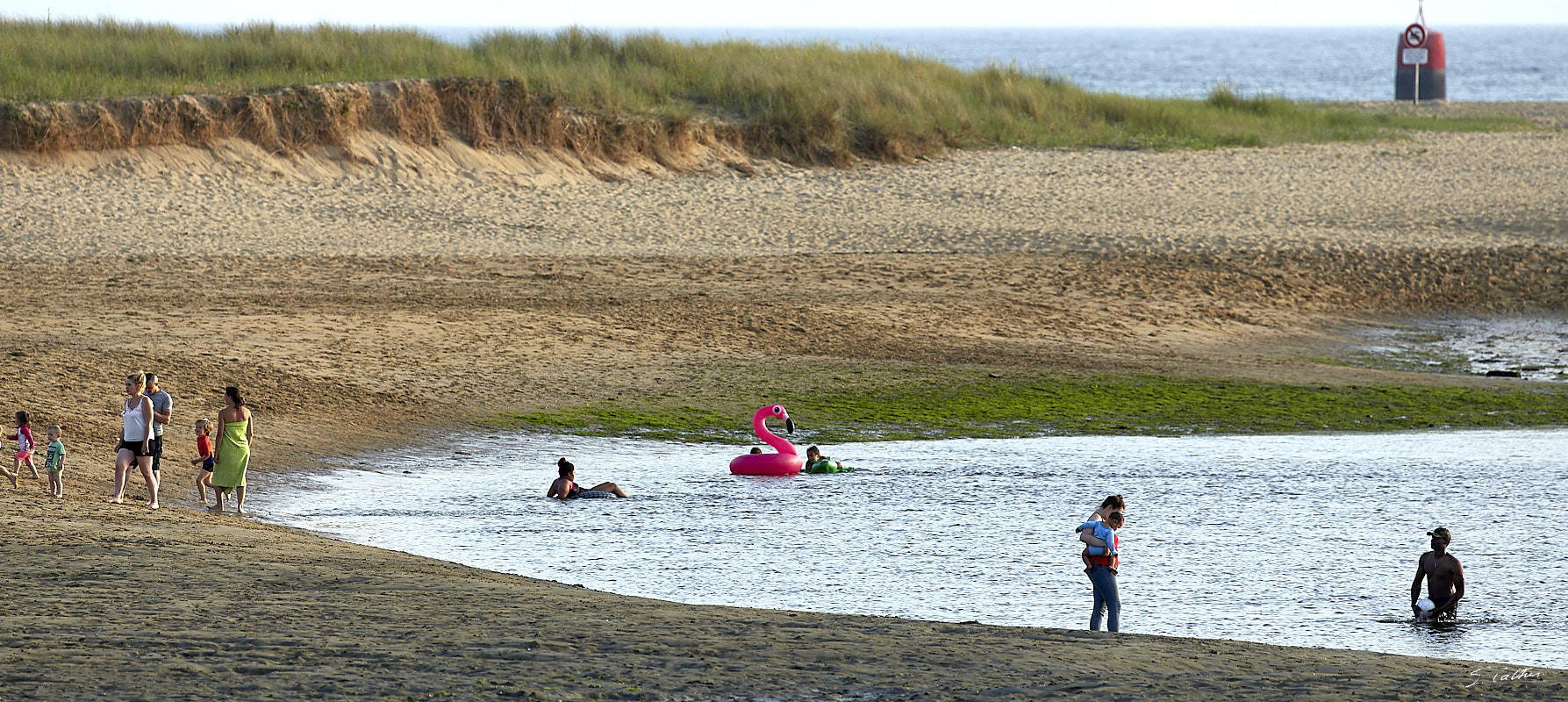 © All Rights Reserved - 2019-06-28 21:08:12 f/5.6 1/800sec ISO-320 400mm - France, Bretagne, Guidel