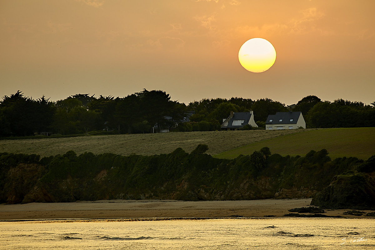 © All Rights Reserved - 2019-06-28 21:58:40 f/8 1/50sec ISO-160 400mm - France, Bretagne, Guidel