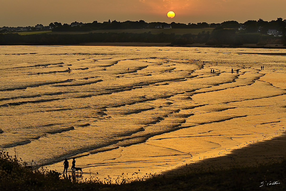 © All Rights Reserved - 2019-06-28 21:59:35 f/8 1/100sec ISO-160 100mm - France, Bretagne, Guidel