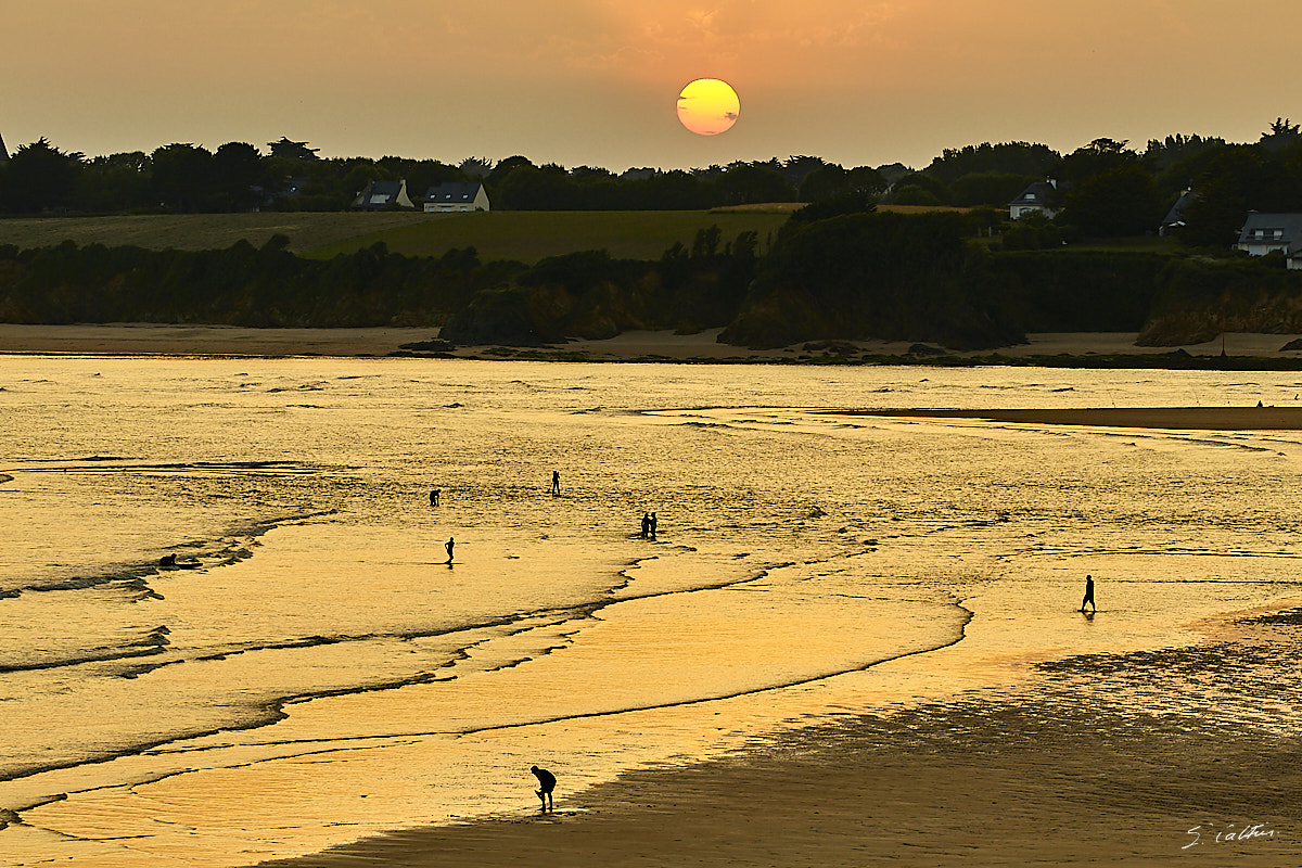 © All Rights Reserved - 2019-06-28 22:00:37 f/8 1/160sec ISO-160 188mm - France, Bretagne, Guidel