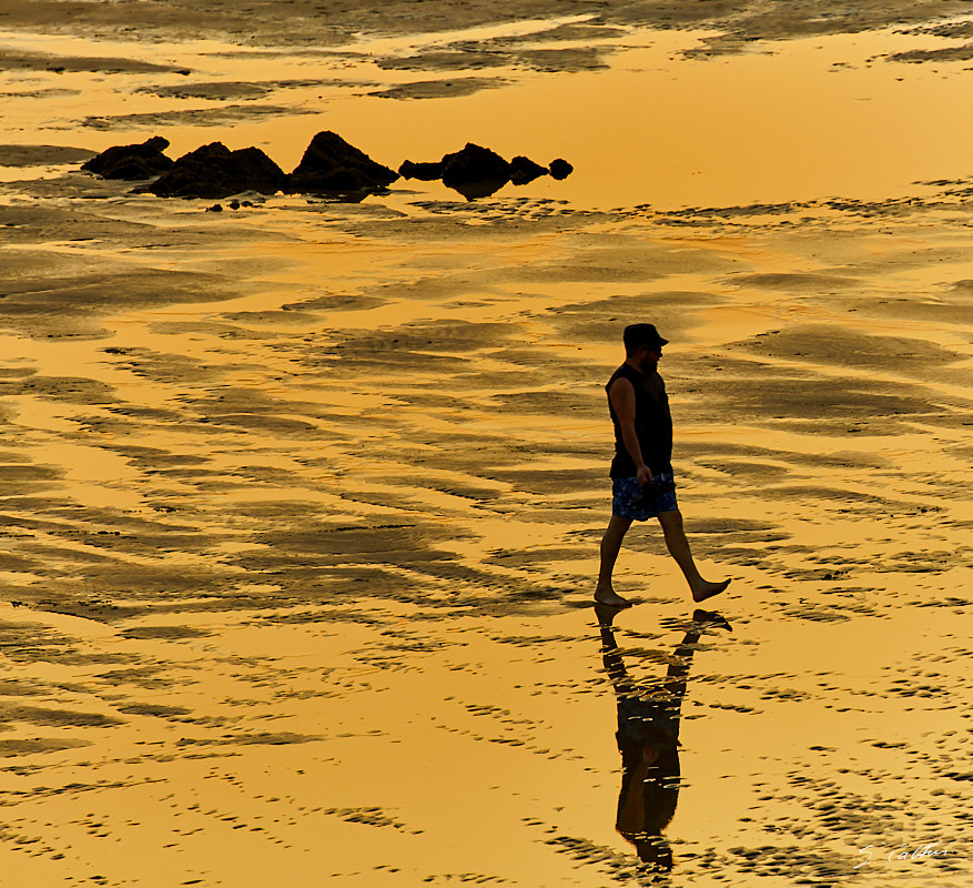 © All Rights Reserved - 2019-06-28 22:02:46 f/8 1/125sec ISO-160 400mm - France, Bretagne, Guidel