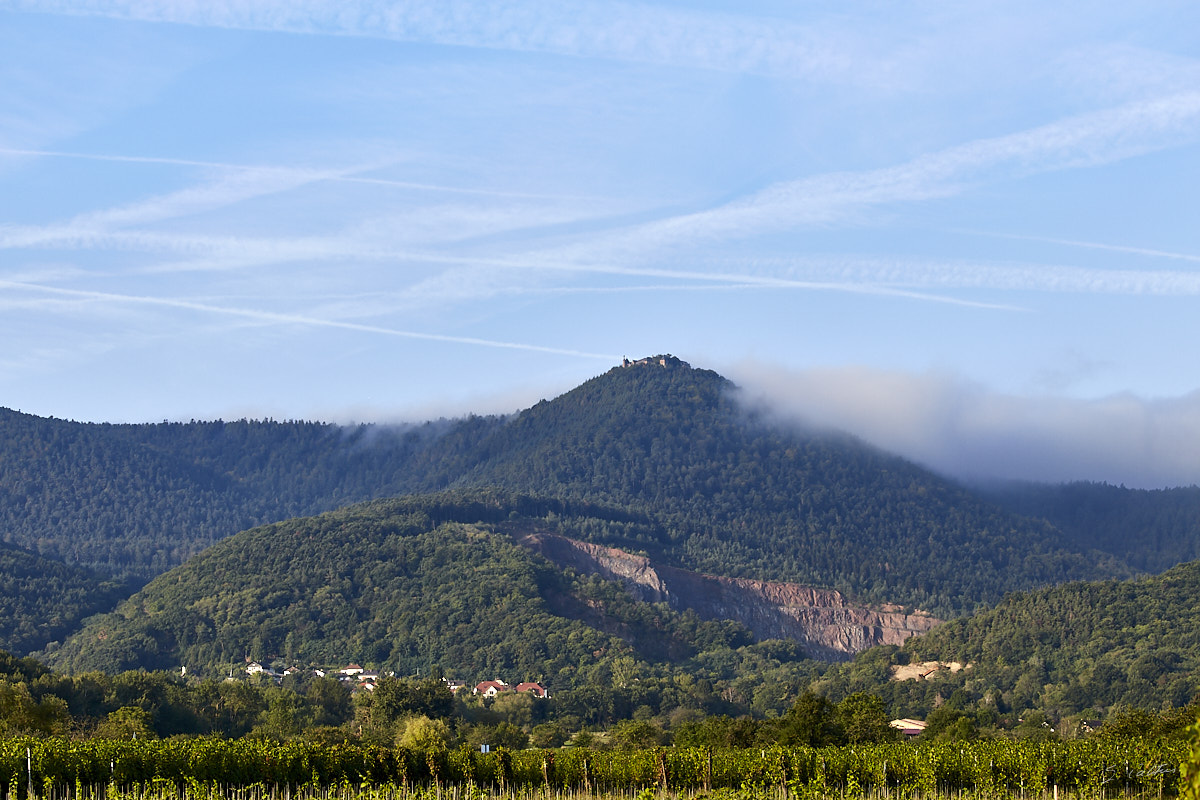 © All Rights Reserved - 2019-09-14 08:09:38 f/5.6 1/640sec ISO-160 100mm - France, Alsace