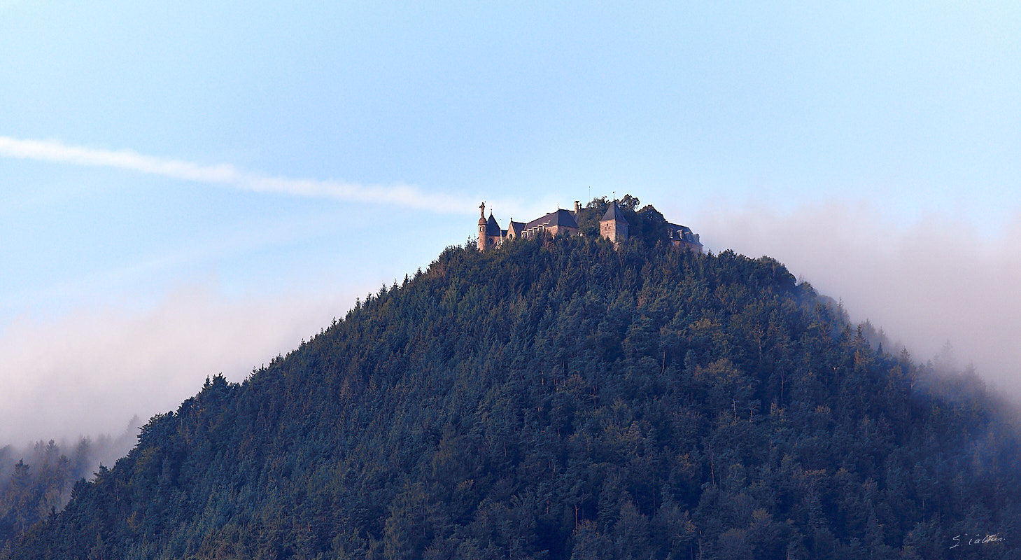 © All Rights Reserved - 2019-09-14 08:11:03 f/5.6 1/800sec ISO-160 400mm - France, Alsace