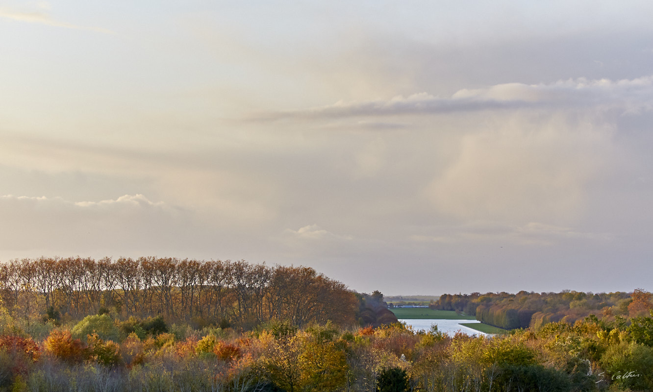 © All Rights Reserved - 2019-11-11 16:47:23 f/5.6 1/640sec ISO-640 100mm - France, Versailles