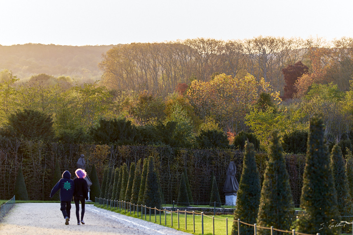 © All Rights Reserved - 2019-11-11 16:51:07 f/5.6 1/200sec ISO-640 164mm - France, Versailles